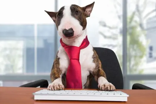 Why Your REALTOR Does It Better: The Expertise You Need When Selling Your Home,Laura McMillan