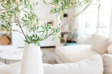 Common Interior Design Mistakes to Avoid for a Harmonious Home,Laura McMillan