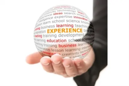  Elevating Your Real Estate Experience: The Power of Advanced Knowledge and Education of a Real Estate Agent,Laura McMillan