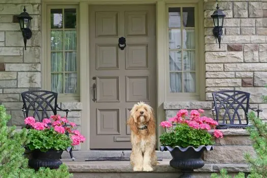 6 Front Porch Decorating Ideas,Laura McMillan
