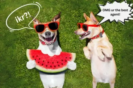 The Power of Partnership: Why Hiring a Real Estate Broker Can Benefit Sellers,Laura McMillan