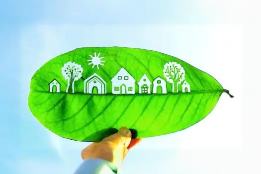 What is a Green Home and Why Does it Matter to Buyers?,Laura McMillan
