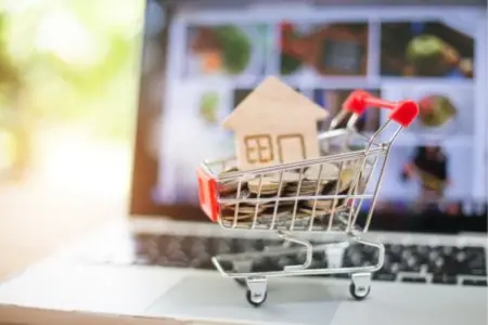 Navigating the Home Selling Journey: Insights and Experiences of Sellers,Laura McMillan