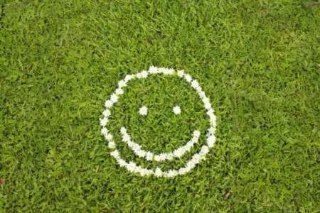 The Importance of Curb Appeal for Selling Your Home,Laura McMillan