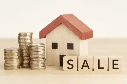 Top Tips for Selling Your Home Quickly and for Top Dollar,Laura McMillan