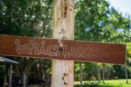 Thinking of Moving to Austin? We Can Point You In The Right Direction,Laura McMillan