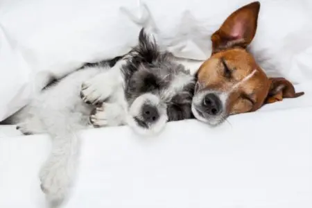 The Power of Partnership: Why Working with a Real Estate Broker Benefits Sellers,Laura McMillan