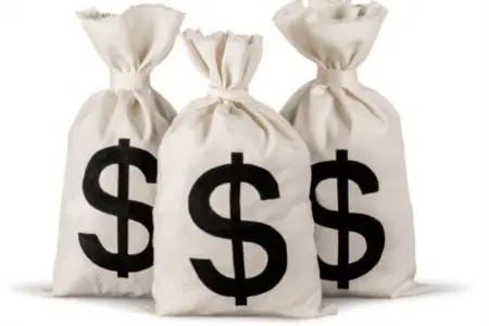 How Much Should I Put Down? A Guide for Home Buyers,Laura McMillan