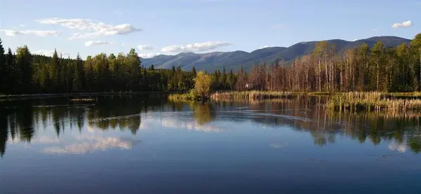 463 Tamarack Creek RD, Whitefish, MT 59937