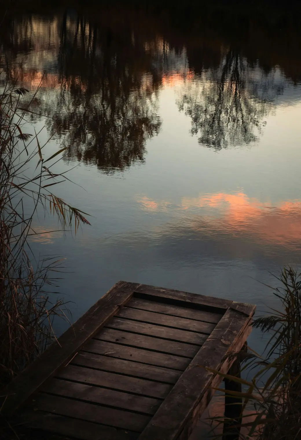 Forest Lake MN Lakefront Homes: Complete Buyer Guide