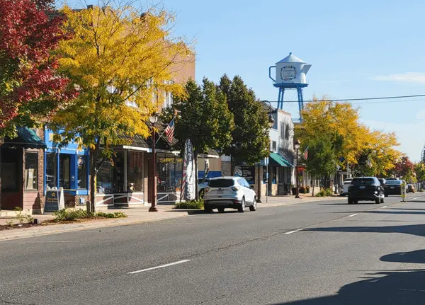 feature image of Living in Lindstrom &amp; the Chisago Lakes Area, MN: Real Estate, Lakes &amp; Local Guide