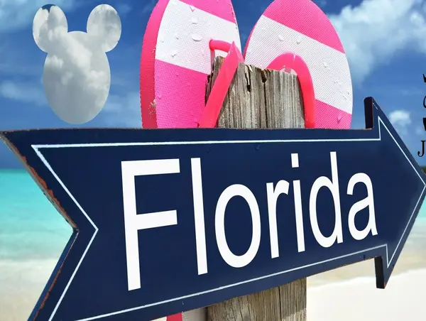 Record Year For Florida Visitors