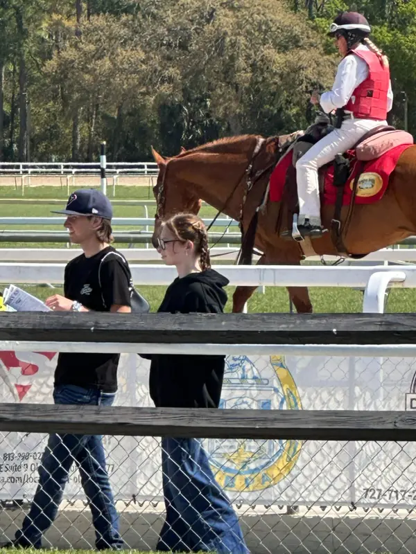 Tampa Bay Downs Horse Racing Central Florida