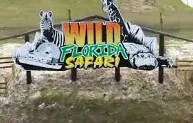 Wild Florida Drive thru Safari