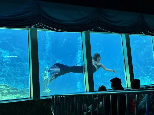 Weeki Wachee Must See
