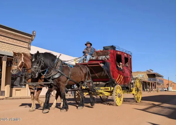 0 E COUGAR Trail #98, Saint David, AZ 85630