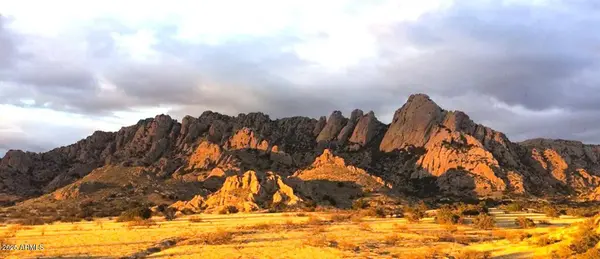 0 E COUGAR Trail #98, Saint David, AZ 85630