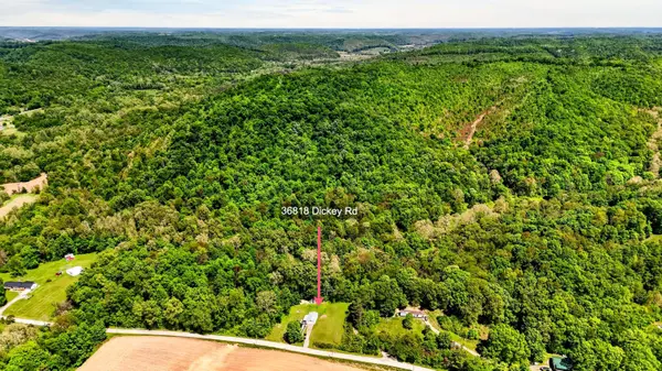 36818 Dickey Road, Ray, OH 45672