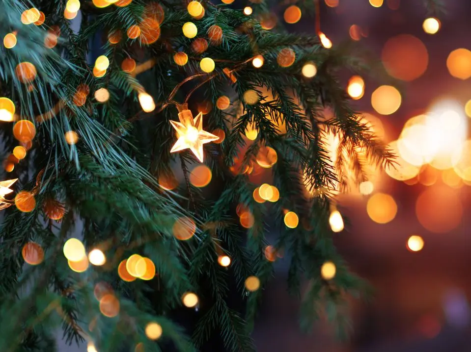 Christmas Tree with Twinkle Lights