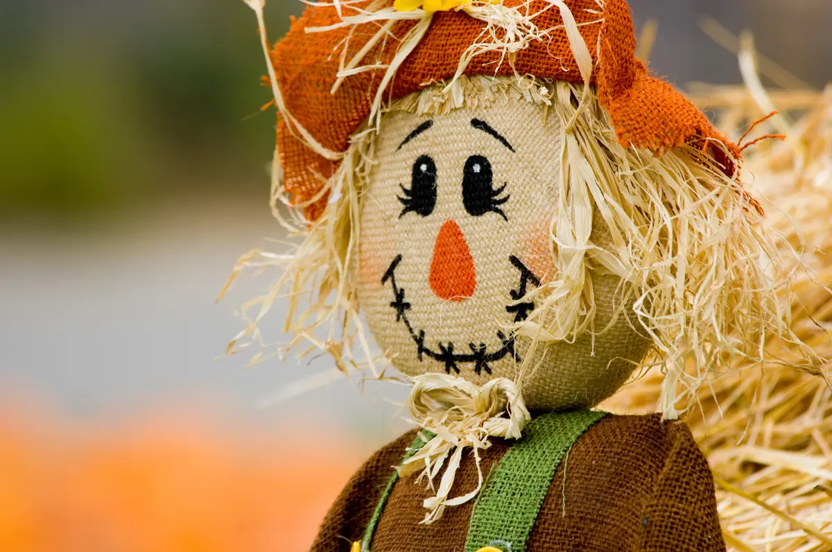 Scarecrow Image