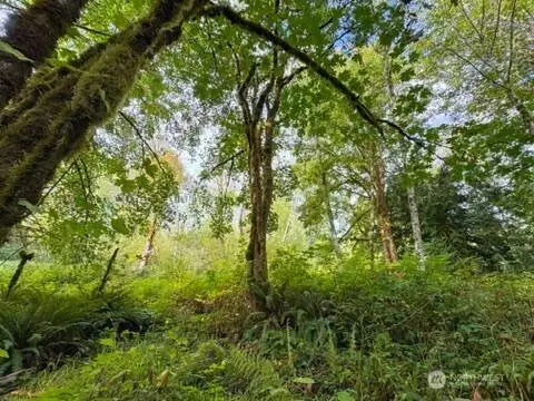 120 184th Avenue Ct NW, Lakebay, WA 98349