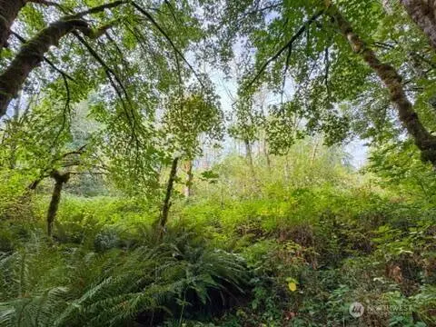 120 184th Avenue Ct NW, Lakebay, WA 98349