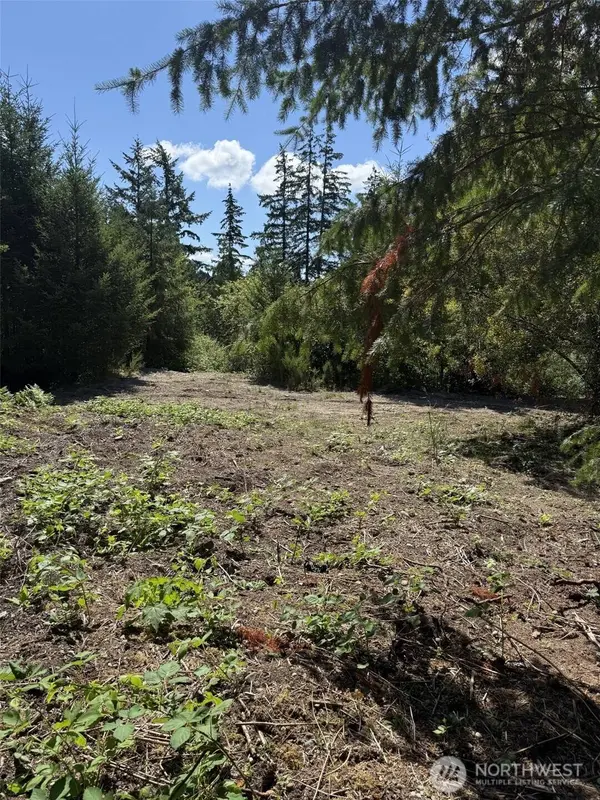 18703 SR 302, Gig Harbor, WA 98329