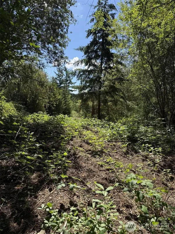 18703 SR 302, Gig Harbor, WA 98329