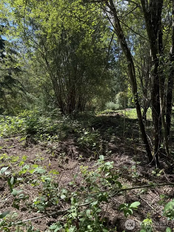 18703 SR 302, Gig Harbor, WA 98329