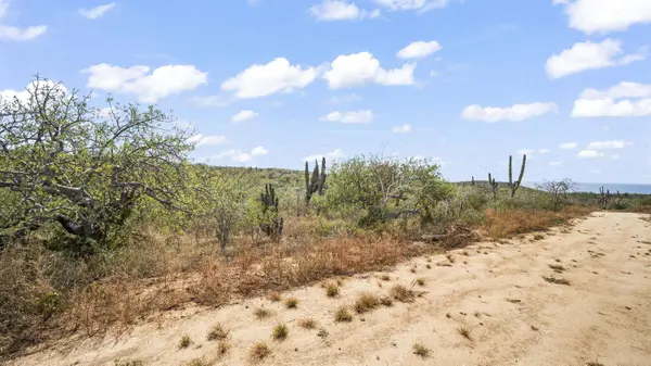 Lot#39, Pacific, BCS