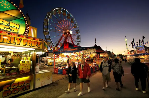 February Festivals in the Tampa Bay Area: Local Flavor Across Pasco, Hillsborough, and Pinellas