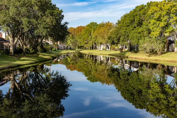 Discover Palm Harbor Communities: Spotlight on Highland Lakes, Westlake Village, Lansbrook, and Innisbrook,Tiffany Williams