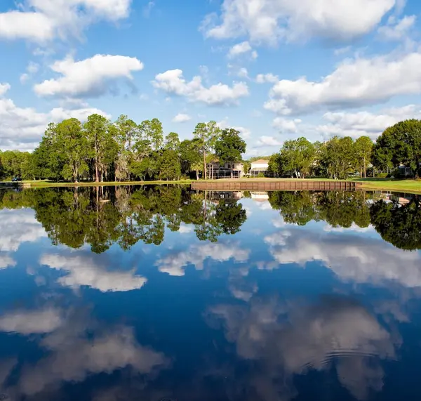 Moving to Odessa, Florida: The Complete Local Guide (2026)