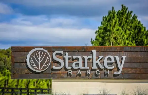 Best Neighborhoods in Odessa, FL - A Local Guide