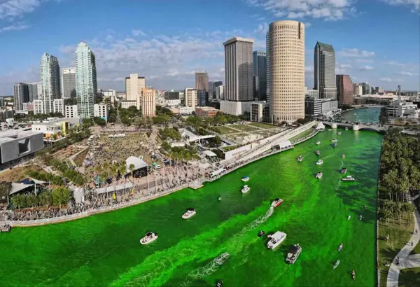 Where To Celebrate St. Patrick's Day in Tampa Bay