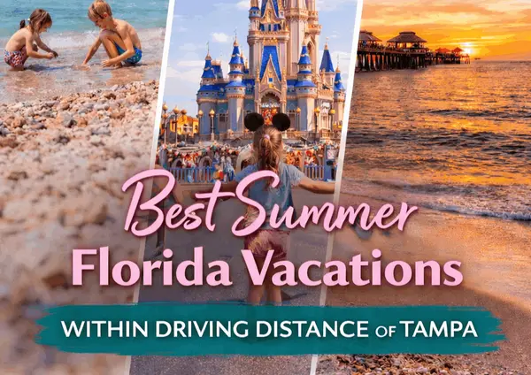 Best Summer Vacations in Florida within Driving Distance of Tampa,Tiffany Williams