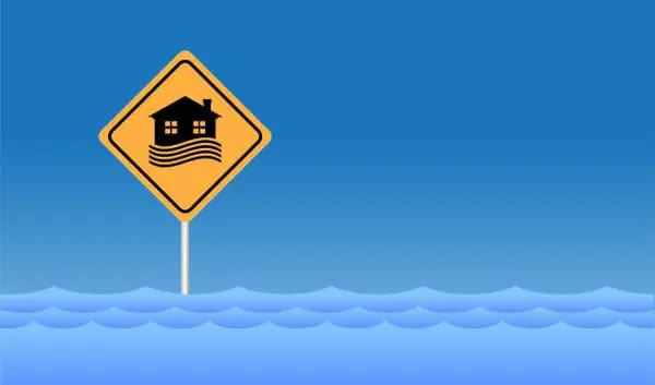 Everything You Need to Know About Flood Zones in the Tampa Bay Area,Marianne Knowles