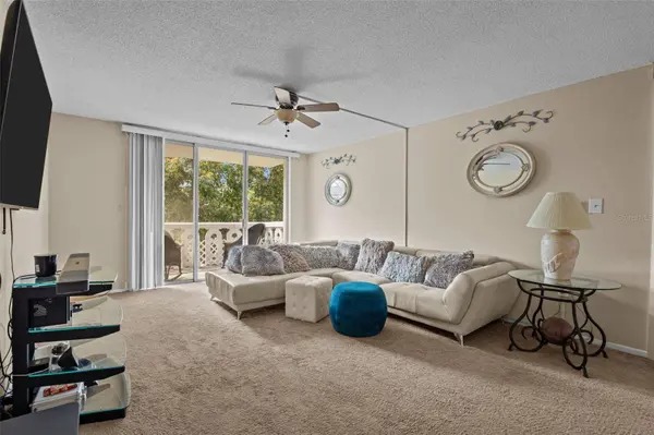 1009 PEARCE DR #206, Clearwater, FL 33764
