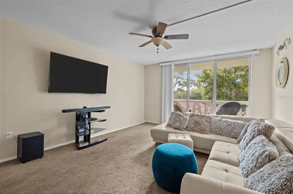 1009 PEARCE DR #206, Clearwater, FL 33764