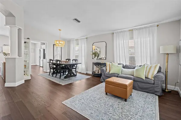 382 FOUNTAINVIEW CIR, Oldsmar, FL 34677