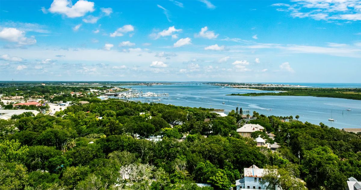 Aerial view of tree-lined neighborhoods and bay waterfront near Brandon Florida in Hillsborough County
