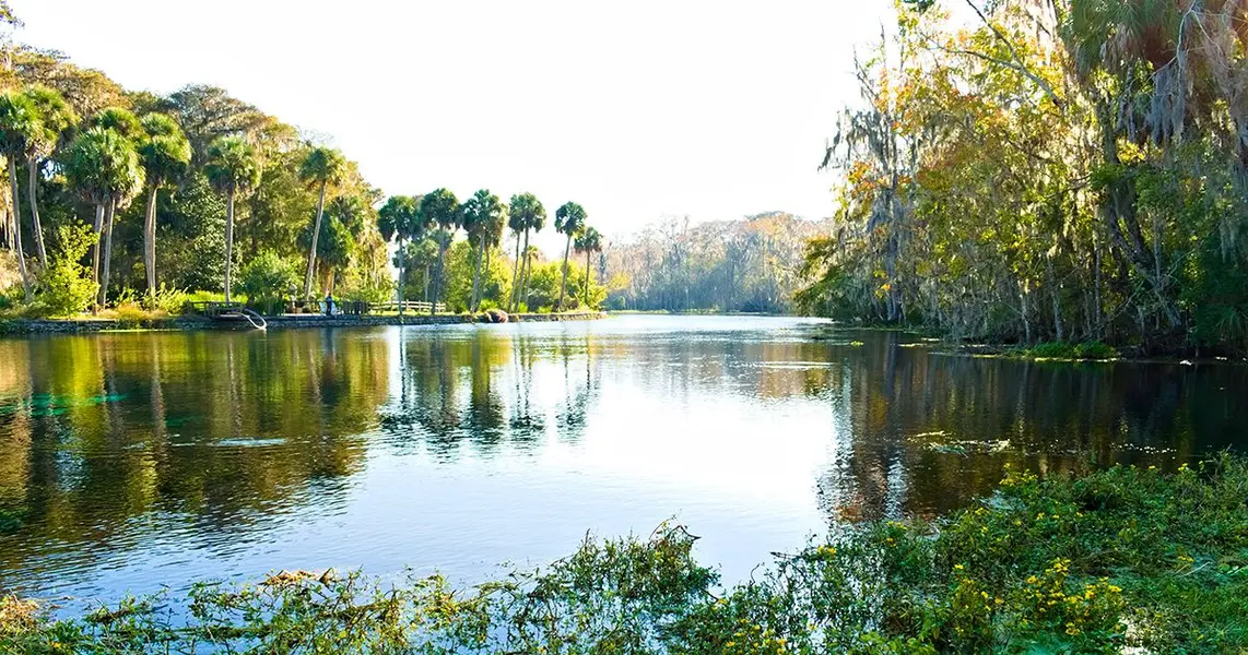 Silver Springs