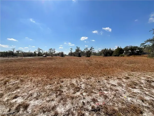 490 Hobbs DR, Venus, FL 33960