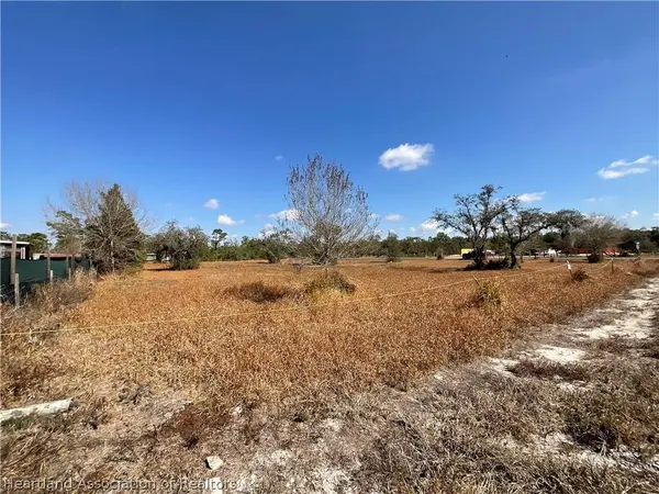 490 Hobbs DR, Venus, FL 33960