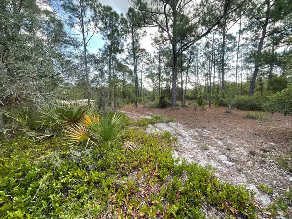 515 & 517 CONCERT DR, Lake Placid, FL 33852