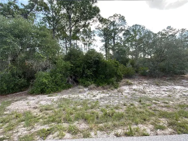515 & 517 CONCERT DR, Lake Placid, FL 33852