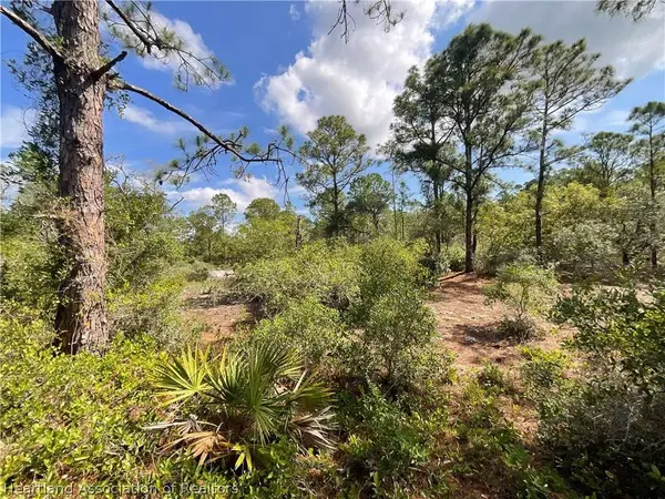 503 Concert DR, Lake Placid, FL 33852