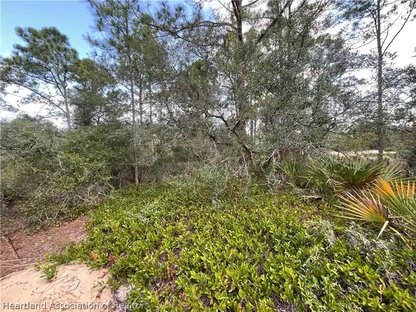 515 & 517 Concert DR, Lake Placid, FL 33852