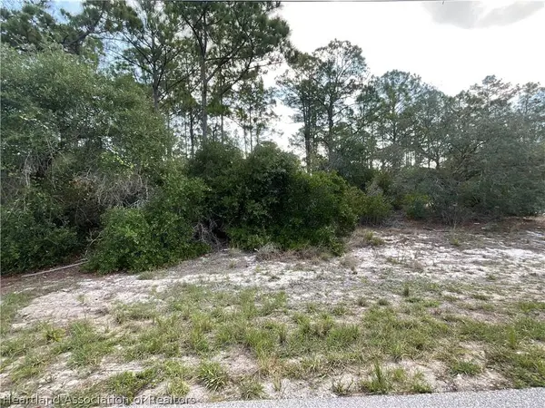 515 & 517 Concert DR, Lake Placid, FL 33852