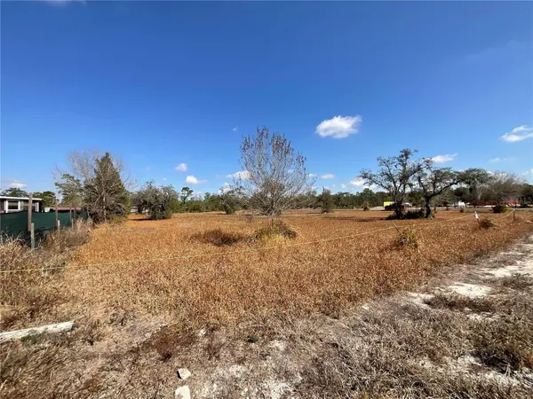 490 HOBBS DR, Venus, FL 33960